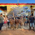 Pemuda Dusun Lonselleng Kembali Bikin Gebrakan Sembelih Tiga Ekor Sapi Kurban Berikut Penjelasan Sumber Dananya