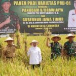 Pangdam V/Brawijaya Pimpin Panen Raya dan Tinjau Inovasi Pertanian Terpadu di Lamongan