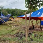 Pembangunan Pasar Ikan di Banyuates Diduga Proyek Siluman, CSR Petronas Dikecam Nelayan