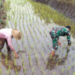 Aksi Kopda Bangkit Dampingi Petani di Desa Binaan