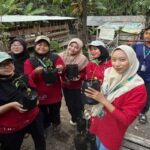 Dorong Ketahanan Pangan Desa, Mahasiswa KKN Pencerahan UMSIDA Kelompok 51 Serahkan Bibit Cabai ke BUMDes Lebakjabung