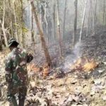 Gerak Cepat, Personel Koramil Campurdarat Padamkan Kebakaran Lahan Perhutani di Desa Pojok